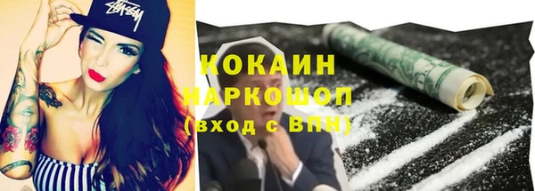 ГАЛЛЮЦИНОГЕННЫЕ ГРИБЫ Вяземский