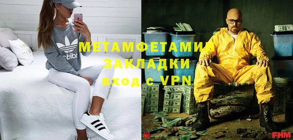 ГАЛЛЮЦИНОГЕННЫЕ ГРИБЫ Вяземский