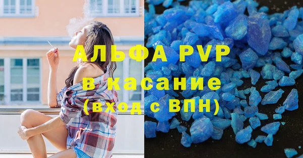 ГАЛЛЮЦИНОГЕННЫЕ ГРИБЫ Вяземский