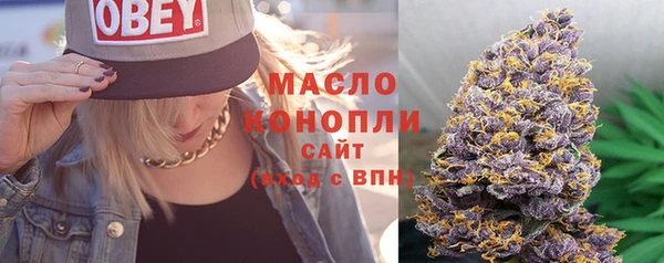 ГАЛЛЮЦИНОГЕННЫЕ ГРИБЫ Вяземский