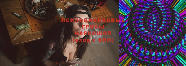 ГАЛЛЮЦИНОГЕННЫЕ ГРИБЫ Вяземский