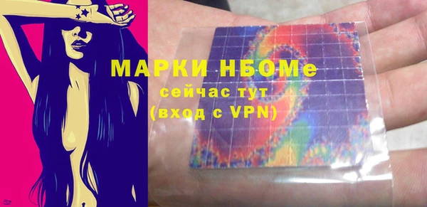 ГАЛЛЮЦИНОГЕННЫЕ ГРИБЫ Вяземский