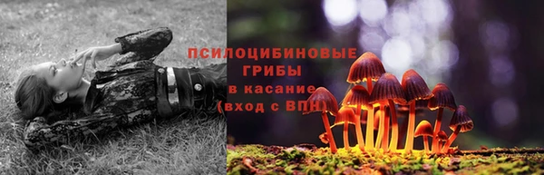 COCAINE Горно-Алтайск